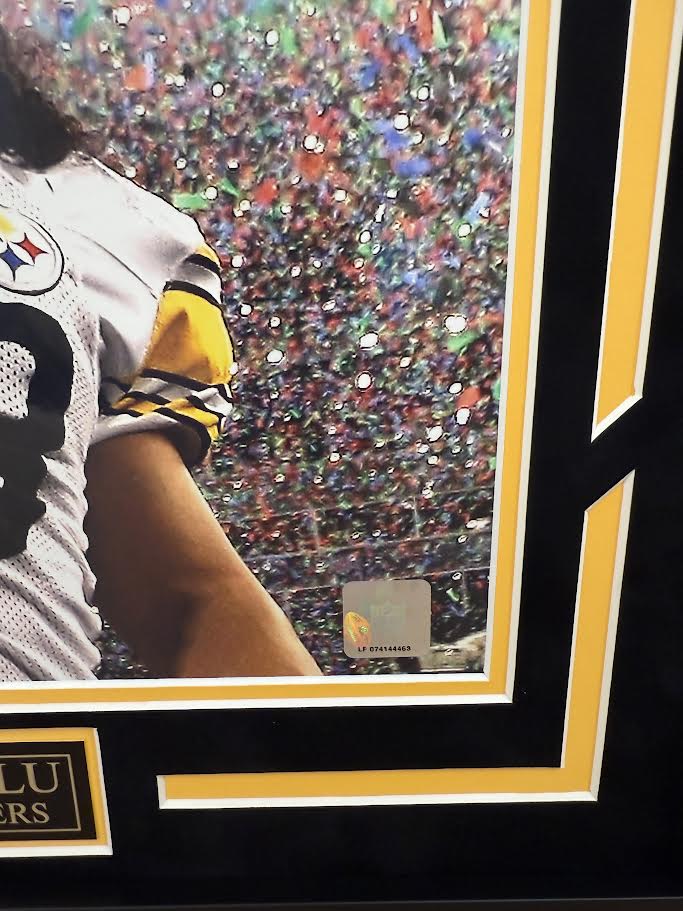 Troy Polamalu Autographed Hand Signed Custom Framed 16x20 Pittsburgh Steelers Photo - GTSM COA