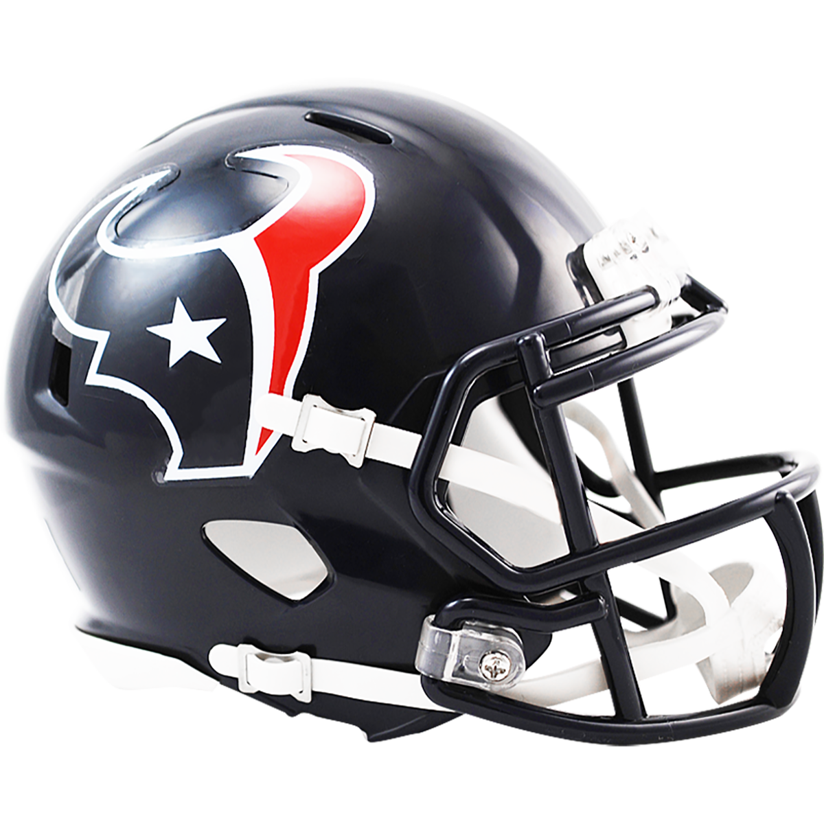 NFL Mini Helmets