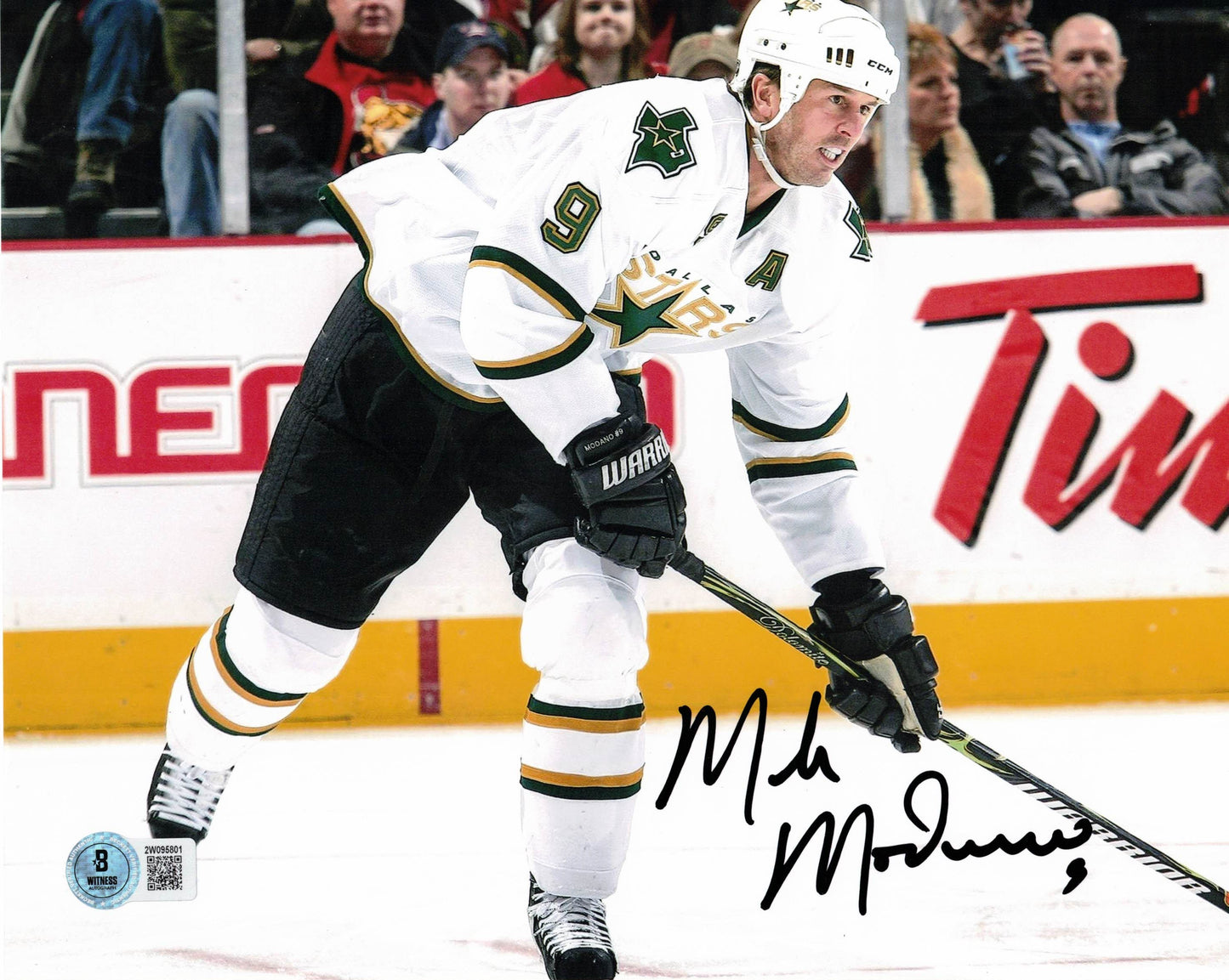 Mike Modano Autographed Hand Signed 8x10 Dallas Stars Horizontal Photo - Beckett COA